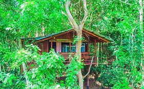 Jungle Host Hostel And Tree House