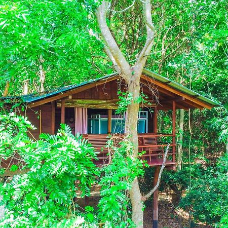 Jungle Host Hostel And Tree House Sigiriya Buitenkant foto