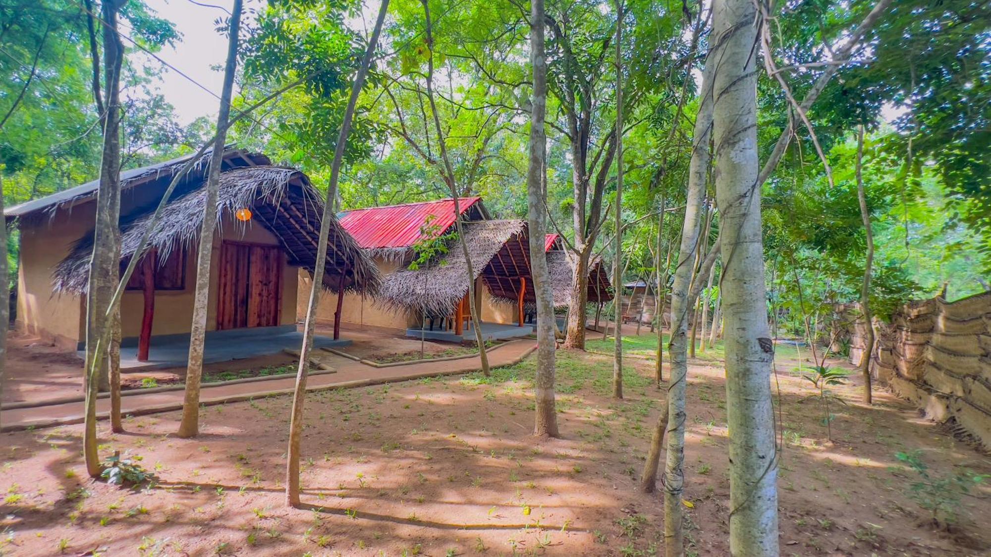 Jungle Host Hostel And Tree House Sigiriya Buitenkant foto