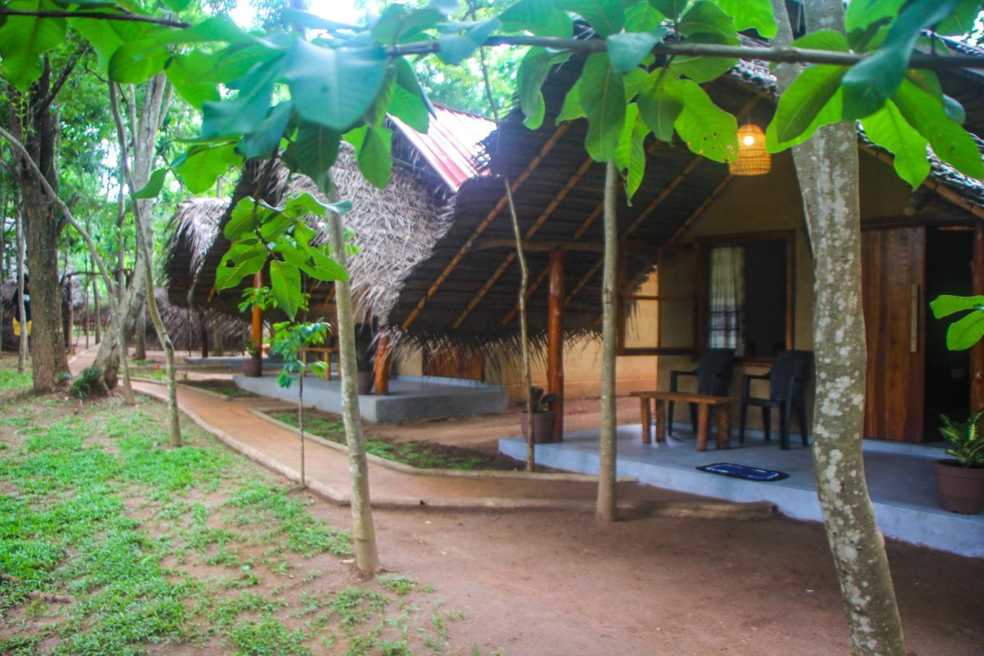 Jungle Host Hostel And Tree House Sigiriya Buitenkant foto