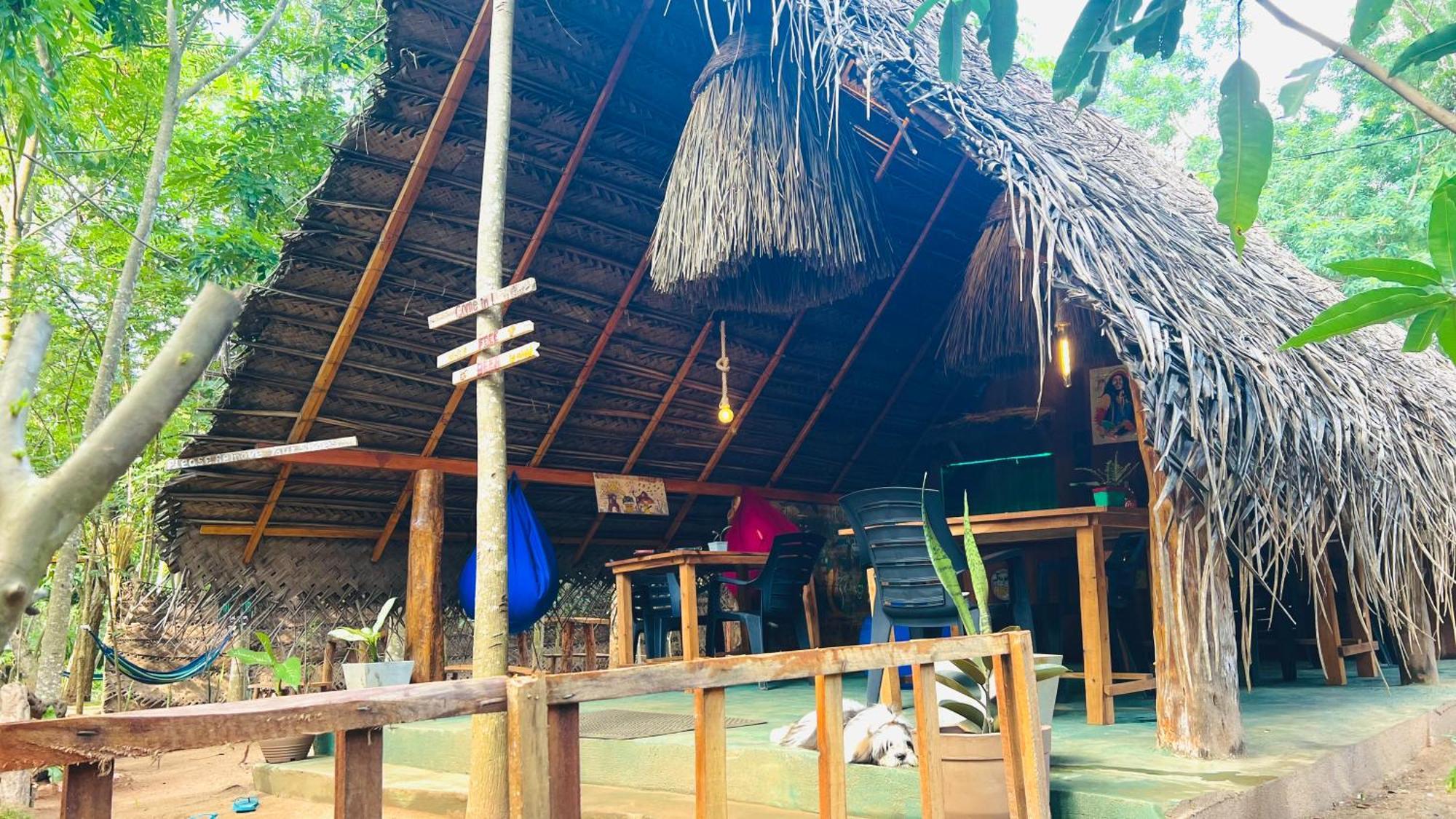 Jungle Host Hostel And Tree House Sigiriya Buitenkant foto