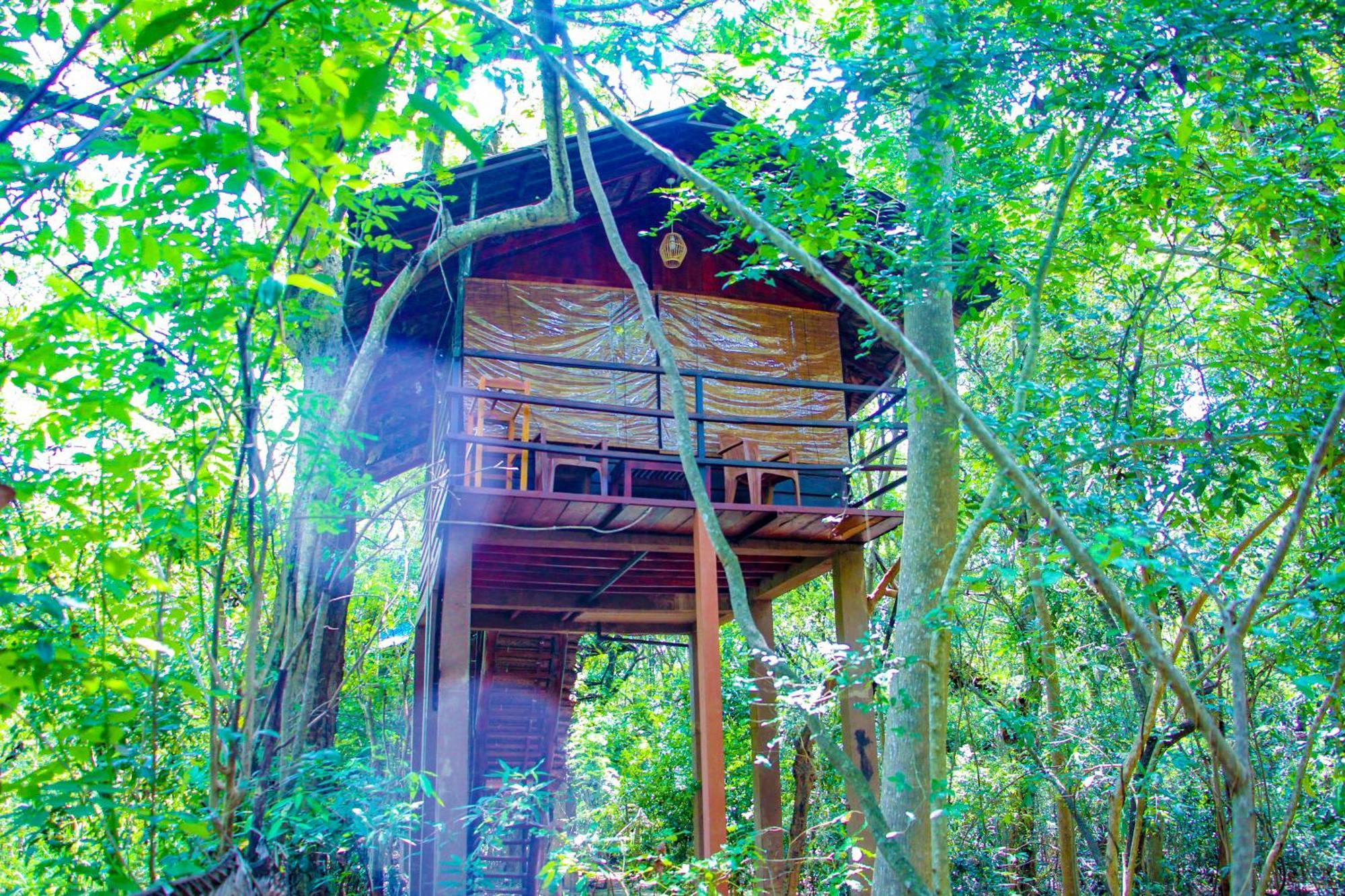 Jungle Host Hostel And Tree House Sigiriya Buitenkant foto