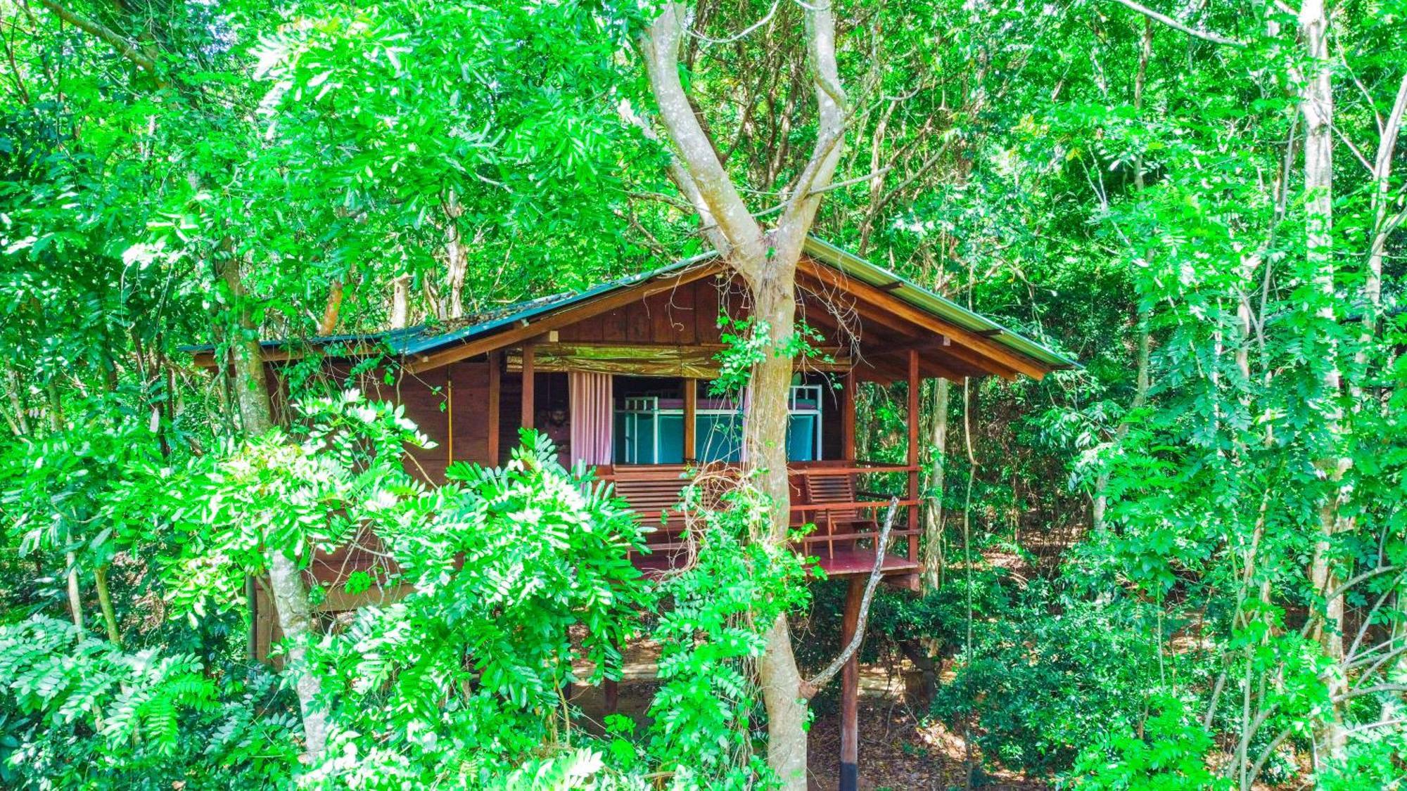Jungle Host Hostel And Tree House Sigiriya Buitenkant foto