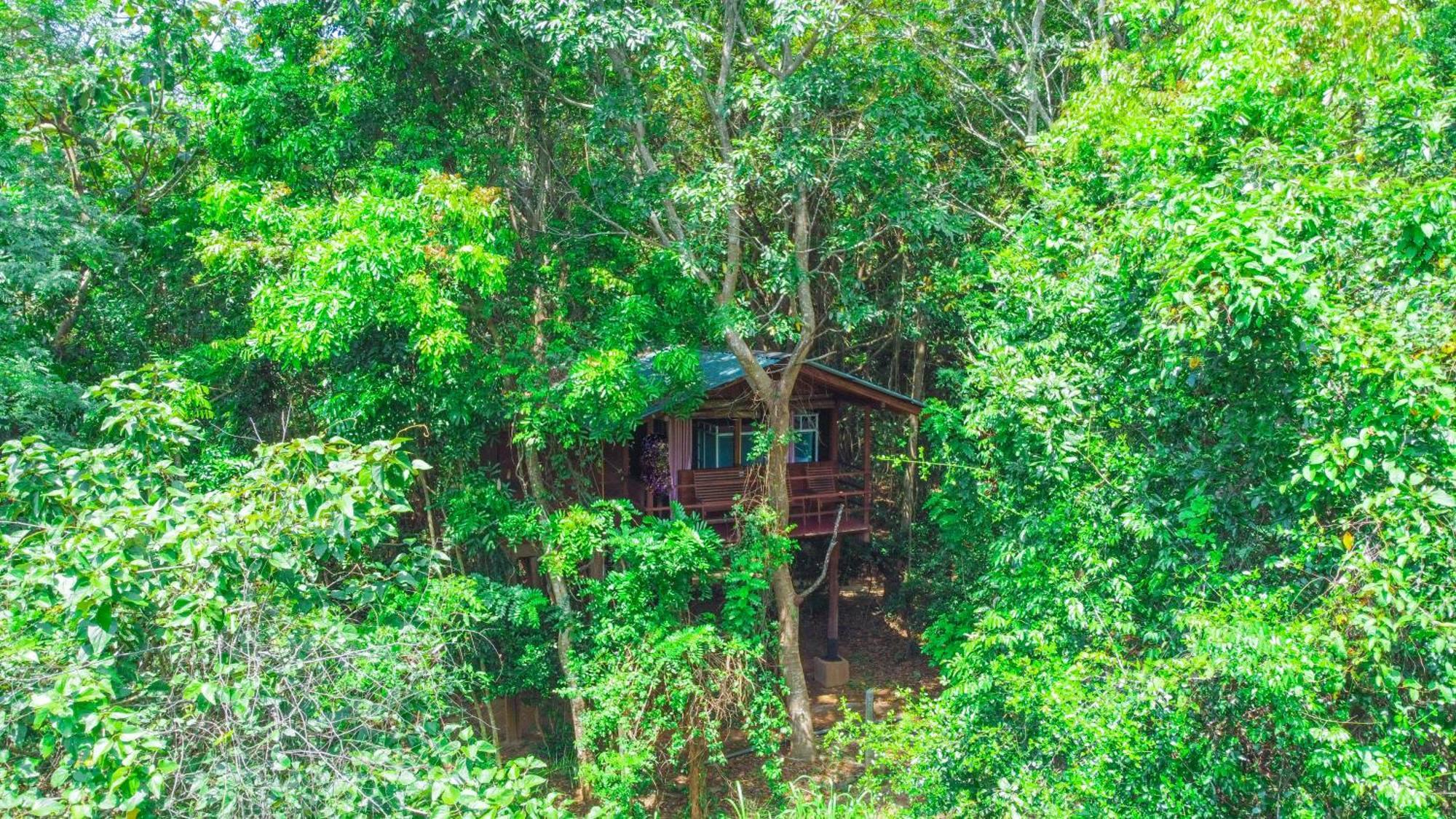 Jungle Host Hostel And Tree House Sigiriya Buitenkant foto