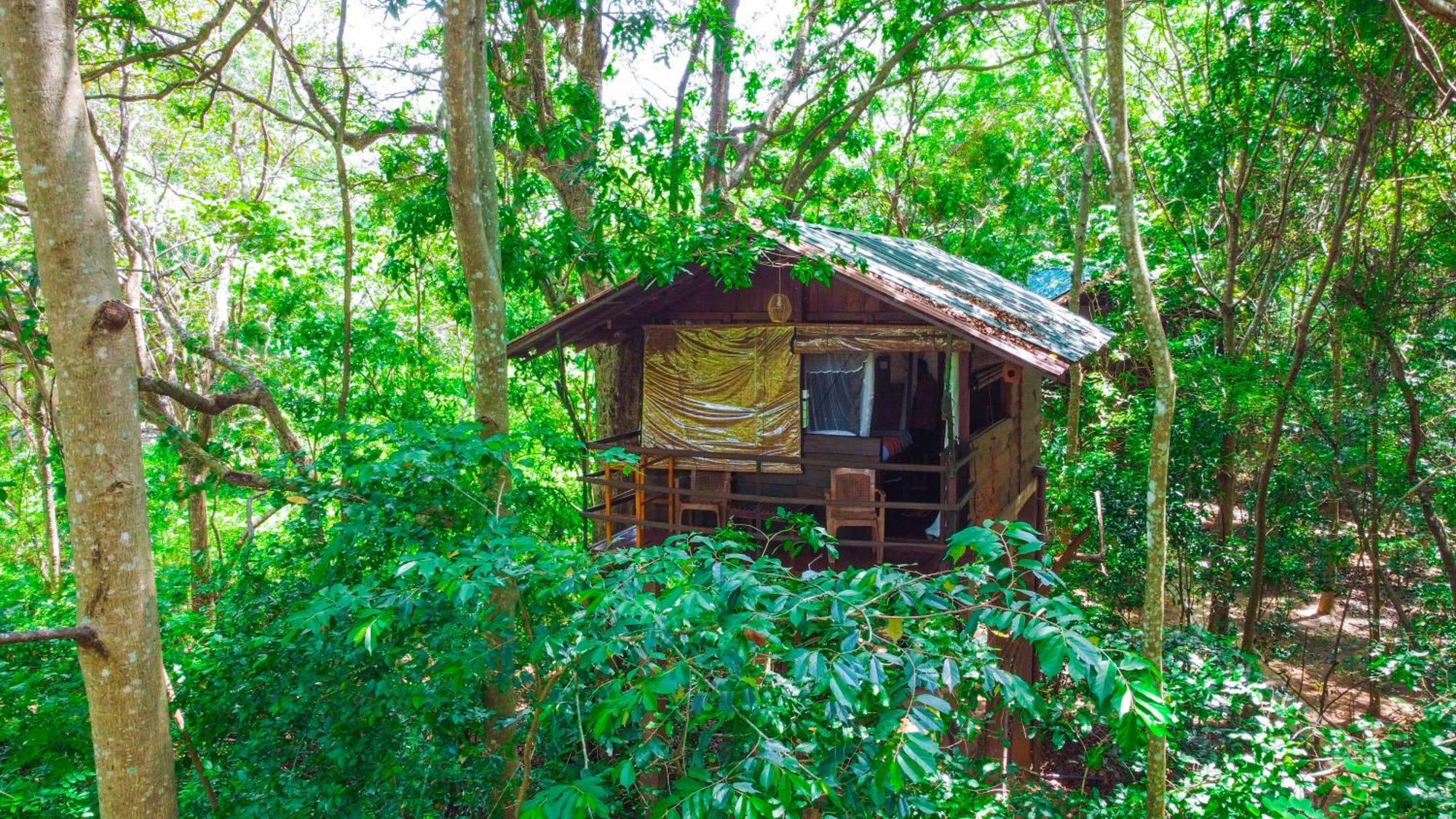 Jungle Host Hostel And Tree House Sigiriya Buitenkant foto