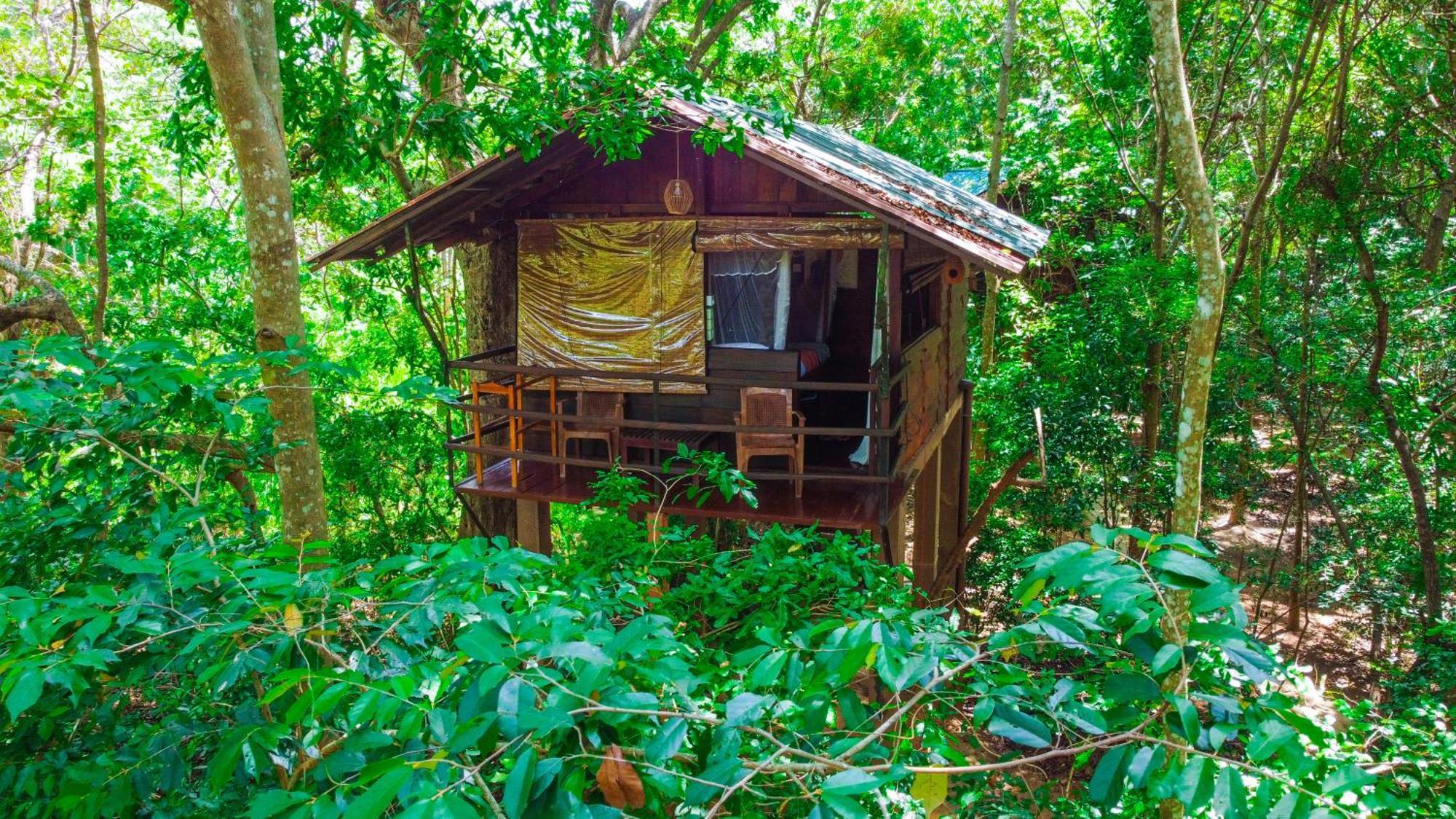 Jungle Host Hostel And Tree House Sigiriya Buitenkant foto