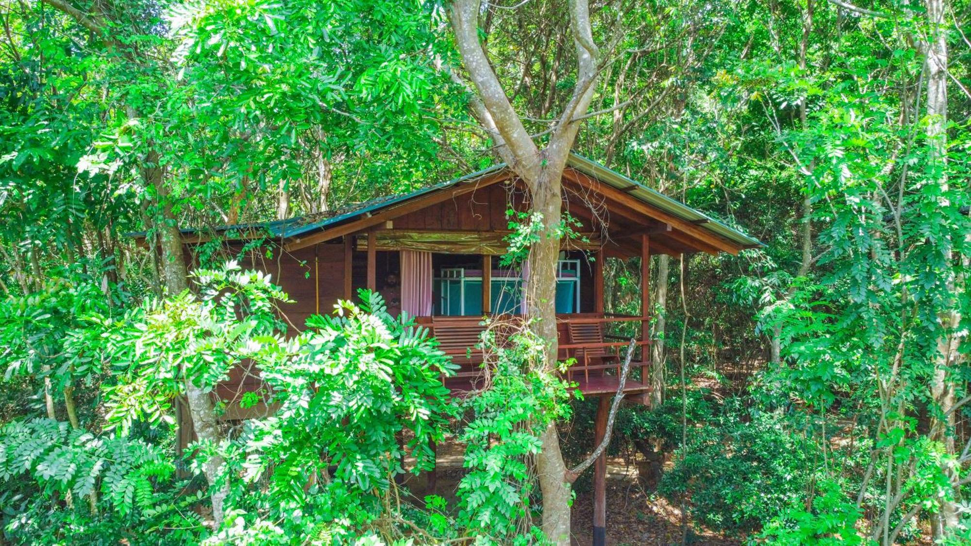 Jungle Host Hostel And Tree House Sigiriya Buitenkant foto