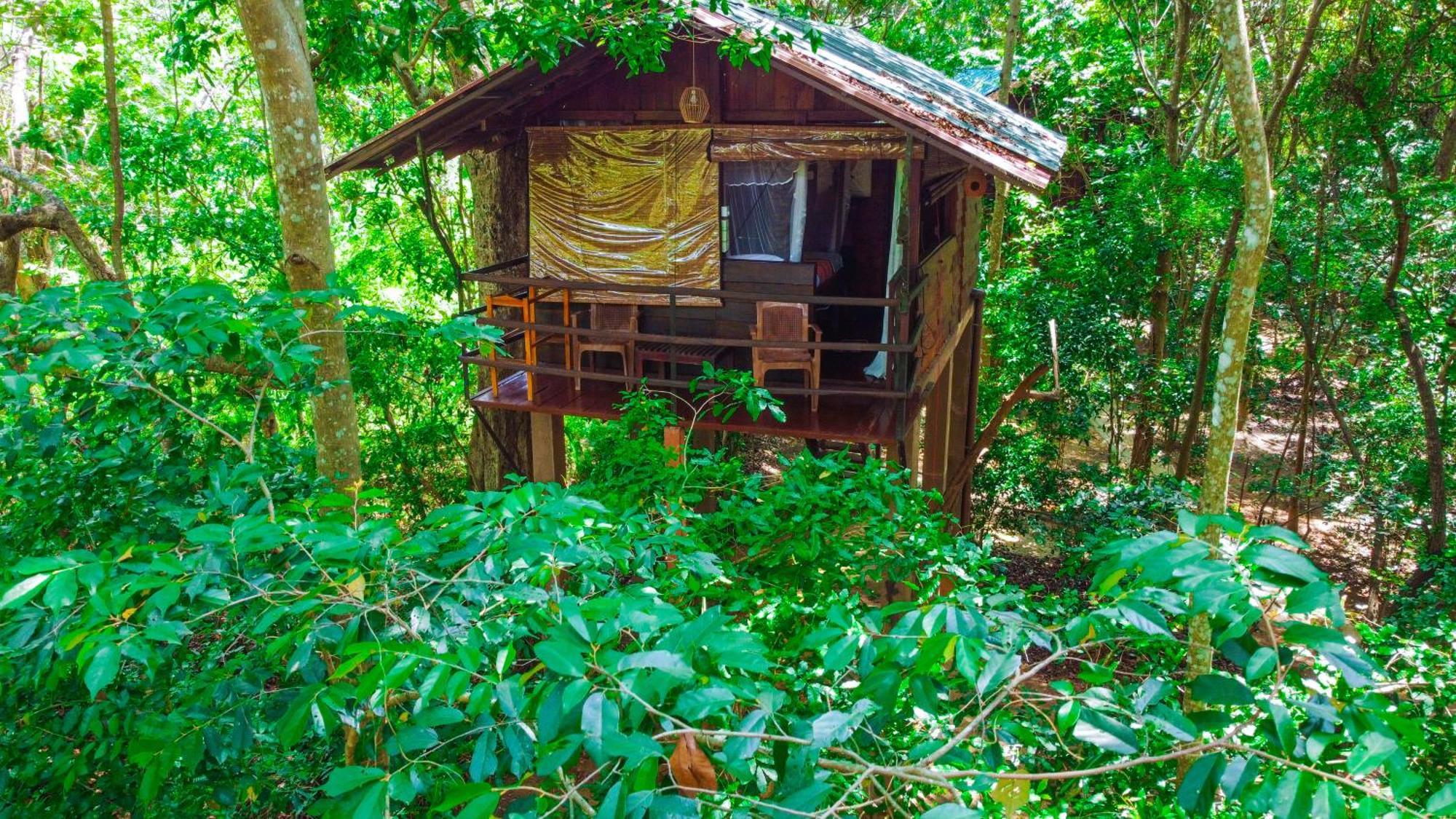 Jungle Host Hostel And Tree House Sigiriya Buitenkant foto