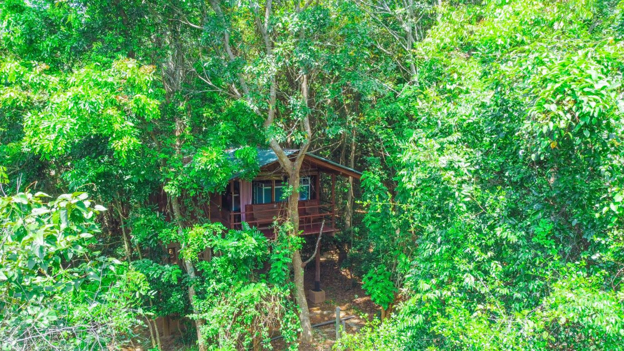 Jungle Host Hostel And Tree House Sigiriya Buitenkant foto